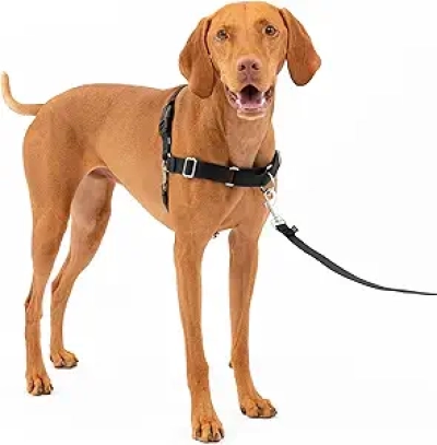 PetSafe Easy Walk Harness for Dogs - No-Pull Front Leash Attachment, Medium
