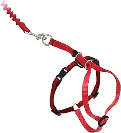 PetSafe Come with Me Kitty Cat Harness & Bungee Leash - Large Red