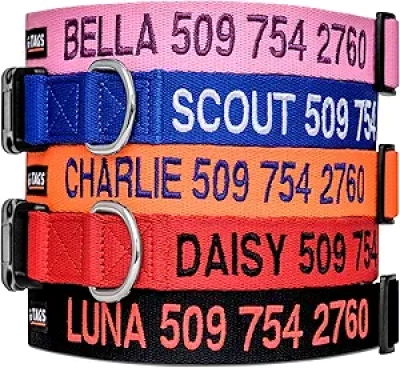 Custom Embroidered Dog Collar with Pet Name & Phone Number | GoTags