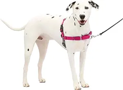 PetSafe Easy Walk No-Pull Dog Harness - Stop Pulling, Train Better Leash Manners
