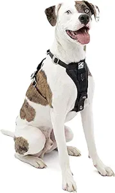 Kurgo Enhanced Strength Tru-Fit Dog Car Harness - Crash Test Certified