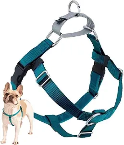 2 Hounds Design Freedom No Pull Dog Harness - Made in USA | Teal Medium