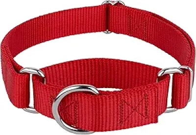 Heavy-Duty Martingale Dog Collar - No Buckle Training Collar for Large Dogs | Country Brook Petz