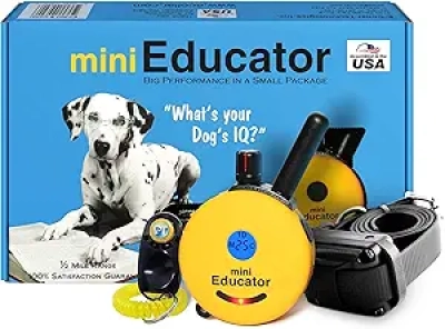 Educator ET-300 Mini E Collar Dog Training Remote - Waterproof, 1/2 Mile Range