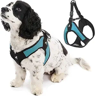 Gooby Escape Free Easy Fit Dog Harness Small - Turquoise No Pull Step-In Harness