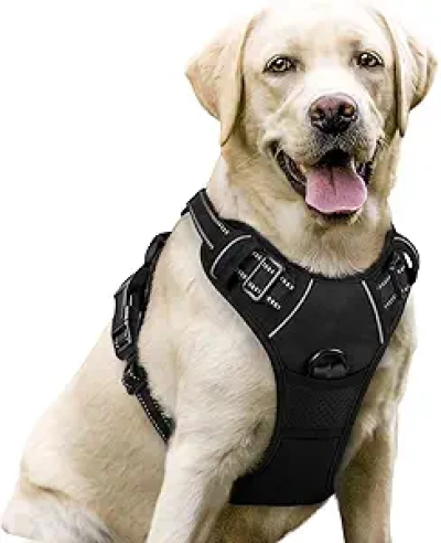rabbitgoo Large Dog No Pull Harness with 2 Leash Clips - Reflective, Padded, Easy Control