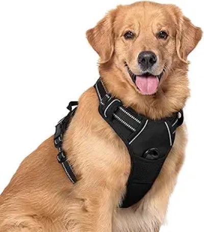 rabbitgoo No Pull Dog Harness XL for Large Dogs - Reflective, Padded & Easy Control