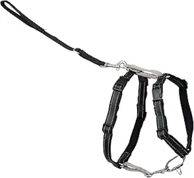 PetSafe 3-in-1 Dog Harness - No-Pull Chest Harness for Medium Dogs