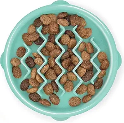Outward Hound Small Slow Feeder Bowl - Puzzle Dog Bowl for Fast Eaters