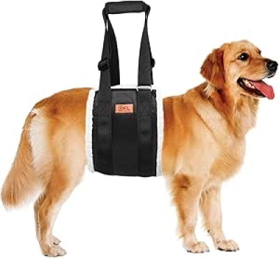 Adjustable Dog Lift Harness for Large Dogs | Hind Leg Support & Rehabilitation