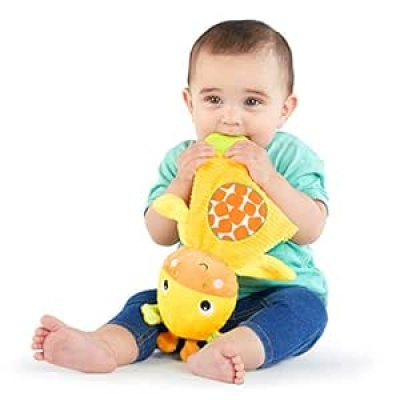 Bright Starts Giraffe Teething Toy - BPA-Free Crinkle Plush for Babies