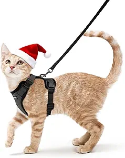 rabbitgoo Cat Harness and Leash - Escape Proof Adjustable Vest for Walking, XS Black