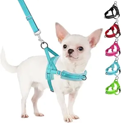 SlowTon No Pull Small Dog Harness & Leash Set - Front Clip Vest for Puppies