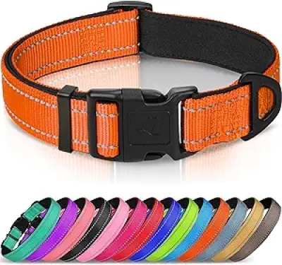 Joytale Reflective Dog Collar - Padded Neoprene, Large Dogs, Safety Orange