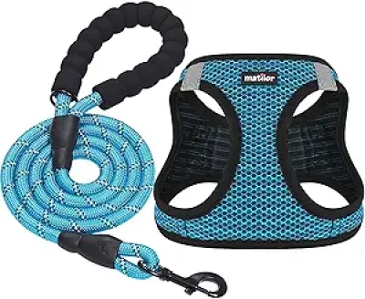 Blue Air Mesh Step-in Dog Harness for Small & Medium Dogs - Breathable Puppy Vest