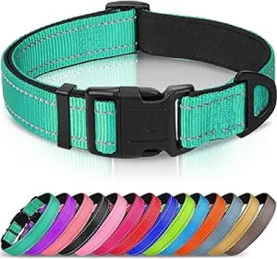 Joytale Reflective Dog Collar - Padded Neoprene, Large Dogs, Safety Visibility