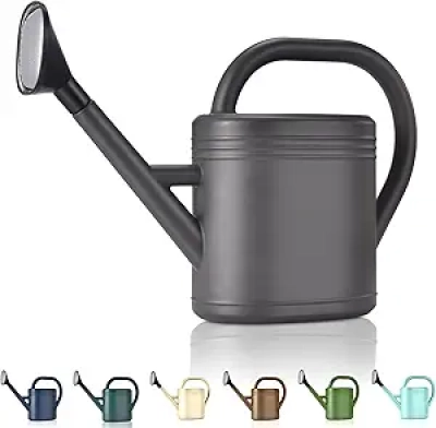 1 Gallon Watering Can with Sprinkler Head - Long Spout Garden Watering Pitcher