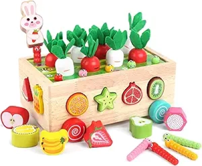 Montessori Wooden Educational Toys for Toddlers 1-3 Years - Shape Sorting & Fine Motor Skills