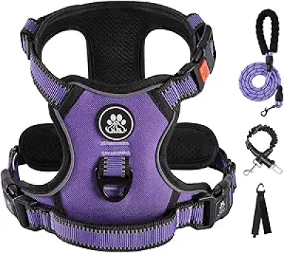 IVY&LANE No Pull Dog Harness for Medium Dogs with Leash & Reflective Safety Features