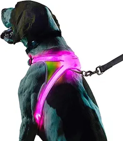 LED Dog Harness 360° Illuminated & Reflective - Noxgear LightHound Large