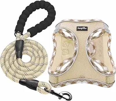 No Pull Dog Harness with Leash Set - Reflective Step-In Harness for Small Dogs