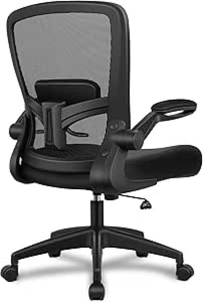 FelixKing Ergonomic Office Chair - Mesh Back Desk Chair with Lumbar Support