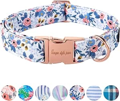 Red Rose Paws Dog Collar with Metal Buckle - Adjustable for Small, Medium & Large Dogs