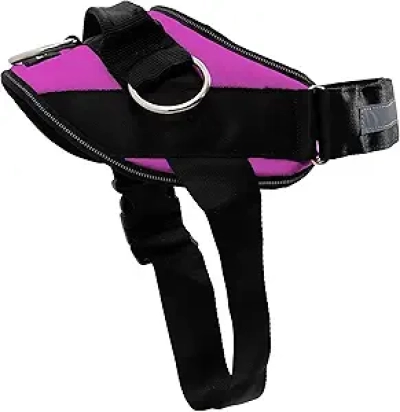 No-Pull Dog Harness with 3 Leash Clips | ShawnCo Essential Vest for Small to Large Dogs