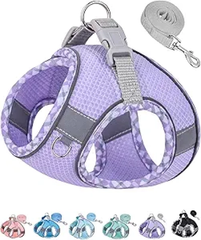 Petank No Pull Dog Harness for Small & Medium Dogs - Purple Step-In Vest with Leash