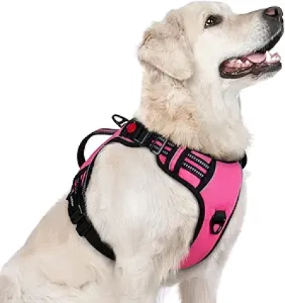 rabbitgoo No Pull Dog Harness for Large Dogs - Reflective, Padded & Adjustable