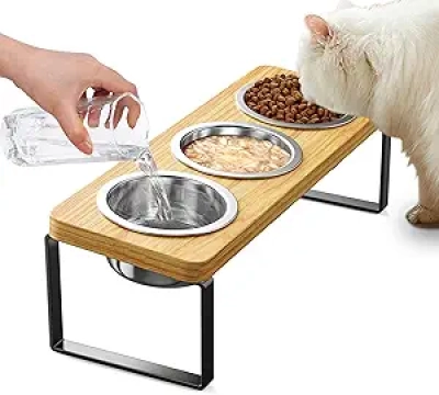 Elevated Cat Bowls with 3 Stainless Steel Bowls | 10° Tilted Anti-Vomiting Raised Pet Feeder