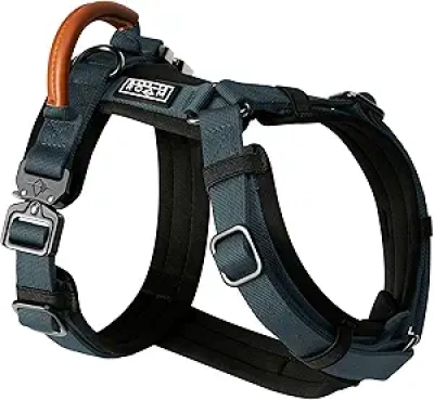Premium Y-Shaped Dog Harness | MADE TO ROAM Explorer - Adjustable, Durable & Comfortable