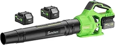20V Cordless Leaf Blower 780CFM 260MPH with 2 Batteries & Charger