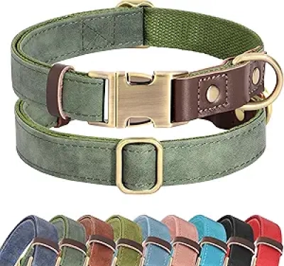 Didog Soft PU Leather Dog Collar for Medium Dogs - Adjustable Green Collar with Quick Release Buckle