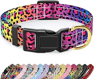 Reflective Leopard Dog Collar for Medium Dogs | Quick Release Buckle & Neon Safety