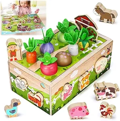Montessori Wooden Sensory Toys for 1 Year Old - Educational Birthday Gift