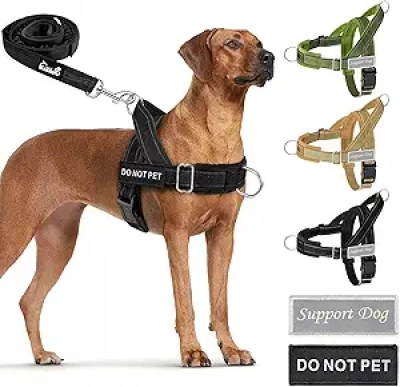 No Pull Dog Harness for Large Dogs - Heavy Duty Tactical Harness with Leash Set