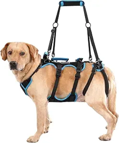 Dog Lift Harness for Large Male Dogs - 2-in-1 Full Body Support with 4 Handles