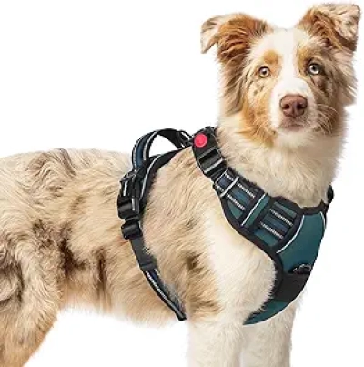 rabbitgoo No Pull Dog Harness Medium - Adjustable Reflective Vest Harness with Control Handle