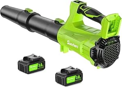 20V Cordless Leaf Blower with 2 Batteries - 650CFM 280MPH Handheld Electric Blower