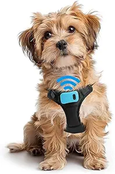 Small Dog Bark Control Training Vest - Rechargeable No Barking Device with 5 Sensitivity Levels