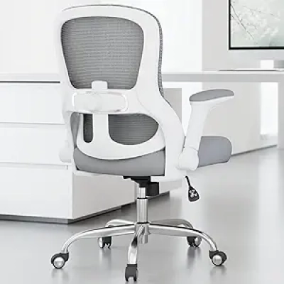 400LBS Ergonomic Office Chair with Lumbar Support & Mesh Back
