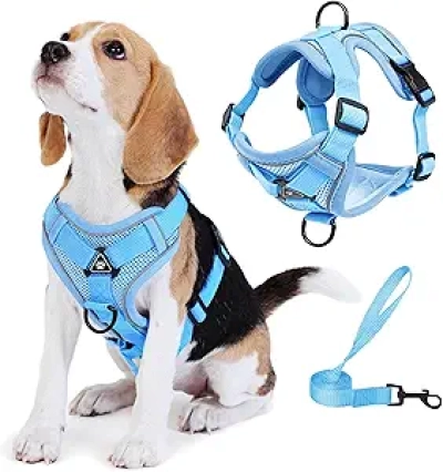No Pull Dog Harness with Leash - Small Dog & Cat Vest, Front Clip Anti-Choke Blue M