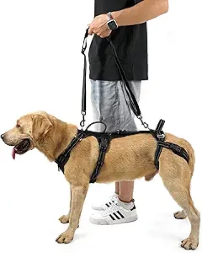 COODEO Mobility Dog Lift Harness - Rear Leg Support Sling for Senior Dogs & Joint Injury Recovery