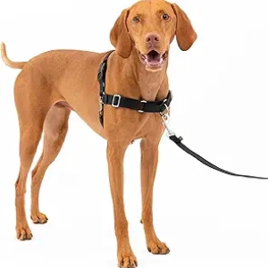 PetSafe Easy Walk Harness for Dogs - No-Pull Front Leash Attachment, Medium