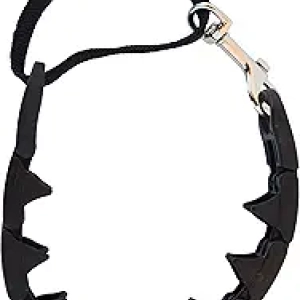 Starmark Pro-Training Dog Collar Large - Adjustable Training Collar for Big Dogs