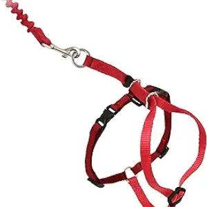 PetSafe Come with Me Kitty Cat Harness & Bungee Leash - Large Red