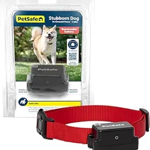 PetSafe Stubborn Dog In-Ground Fence Receiver Collar | Waterproof & Adjustable