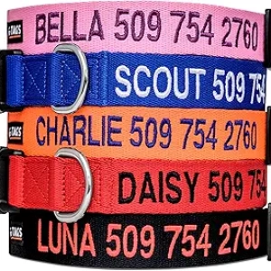 Custom Embroidered Dog Collar with Pet Name & Phone Number | GoTags