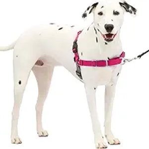 PetSafe Easy Walk No-Pull Dog Harness - Stop Pulling, Train Better Leash Manners
